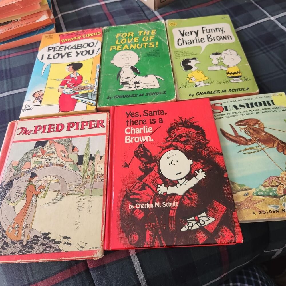 Peanuts Multi Books - Picture 2 of 8